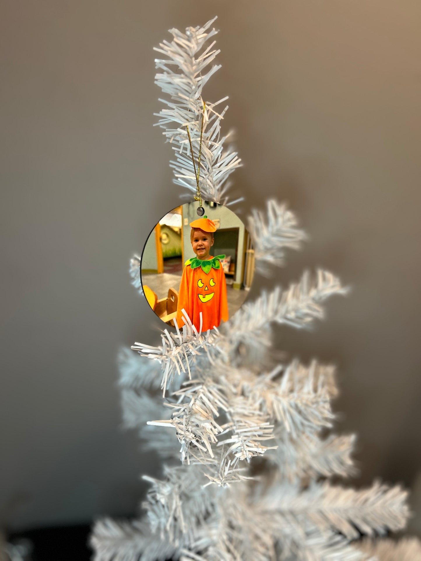 Picture Christmas Ornament