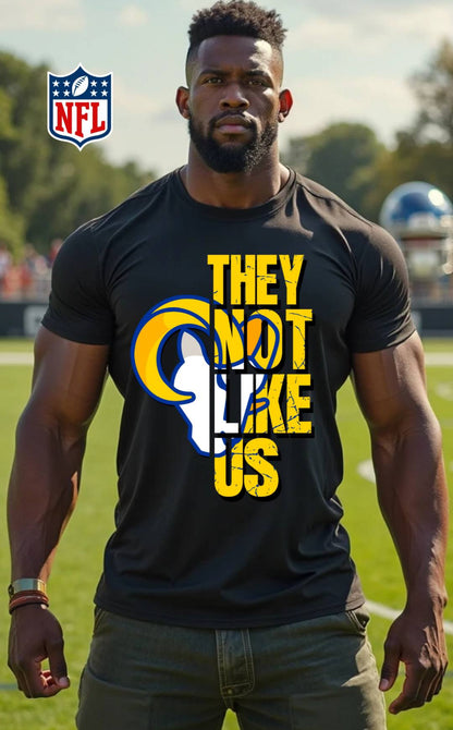 NFL They Not Like Us Shirt