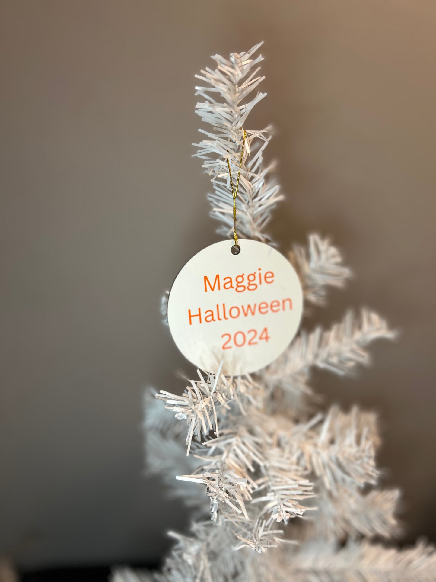Picture Christmas Ornament